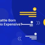 Why Are Battle Born Batteries So Expensive?